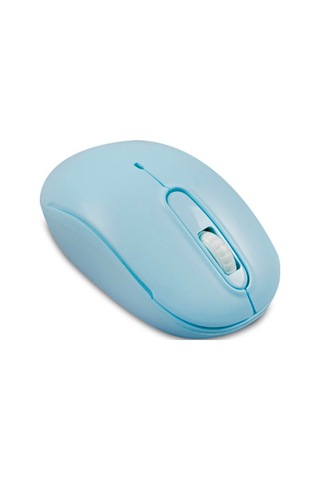Everest SMW-666 USB Optik Kablosuz Mouse