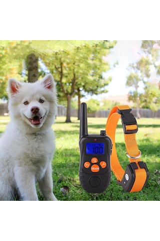 Homyl Köpek Eğitim Tasması Suya Dayanıklı Turuncu