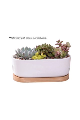 Jeehugo Beyaz Seramik Oval Sukulent Ve Kaktüs Saksısı, Bambü Tabaklı, Ev Ofis Masaüstü İçin, 2'li Set Saksı + Tabak , Bitki Yok