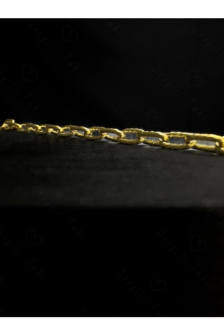 Paperclip Zincirli Gold Çelik Kedi Tasması/aksesuarı Meow Serisi
