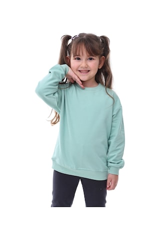 Zuzunga Basic Bisiklet Yaka Şardonlu Çocuk Sweatshirt 3-10 Yaş Krem Suyeşil Suyeşili