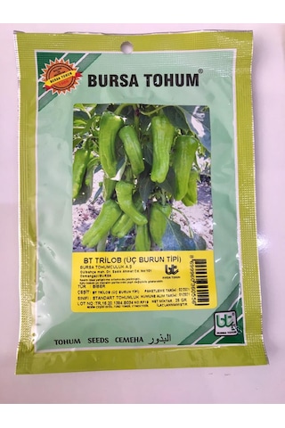 Bursa Trilob Üçburun Biber Tohumu