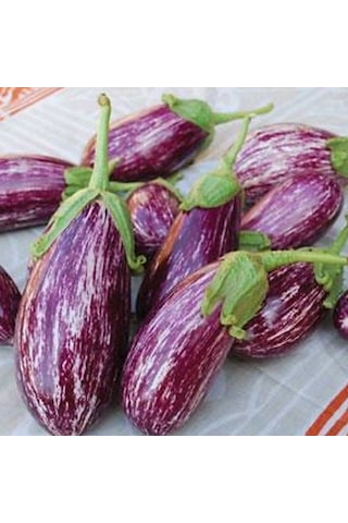 Ata Tohumları Geleneksel Az Çekirdekli Manisa Çizgili Patlıcan Tohumu 70 Tohum