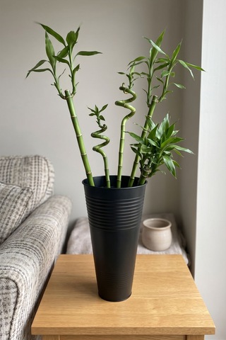 Uzun Metal Saksı & Vazo - 40 Cm Ofis Ve Ev İçin Modern Çok Amaçlı Saksılık 21x11/40 Cm Siyah