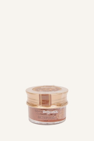Defacto Skinfood Salmon Concealer Dolgunlaştırıcı I0300AXNS