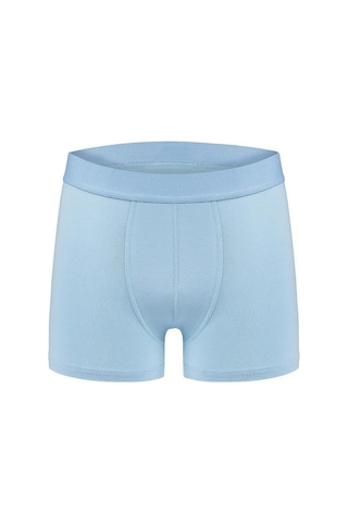 Efsi 3014 Erkek Boxer 001