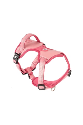 Max & Molly Urban Pets Matrix 2.0 Akıllı Künyeli Sport Köpek Göğüs Tasması Üstün Kontrol Ve Konfor Rose, Genel