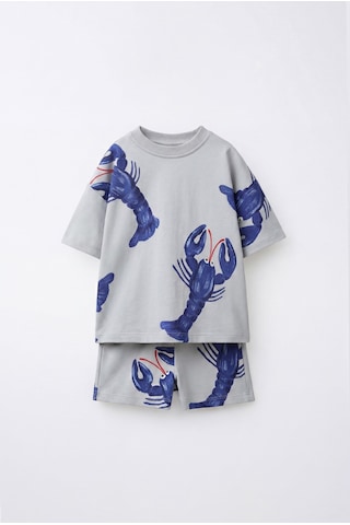 Magu Erkek Çocuk Pamuklu Istakoz Desenli T-shirt Şort Takım Gri
