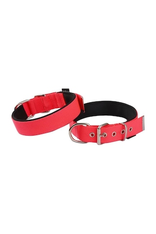 Actirex Neon Yumuşak Doku Köpek Boyun Tasma Red M 58 CM
