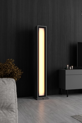 Nova Siyah Demir Ayaklı Rgb Led Işık Sistemli Antrasit Lambader Yok