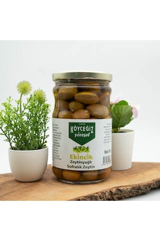 Köyceğiz Yöresel Ekincik Sofralık Zeytin 600 G