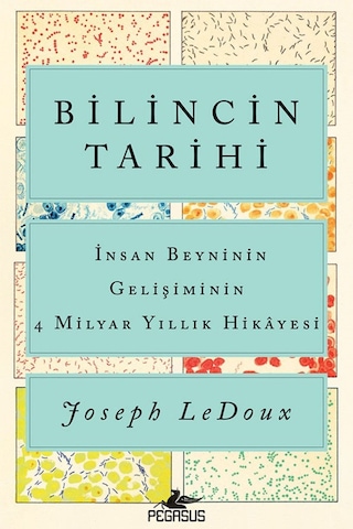 Bilincin Tarihi Insan Beyninin Gelişiminin 4 Milyar Yıllık Hikayesi - Joseph Ledoux