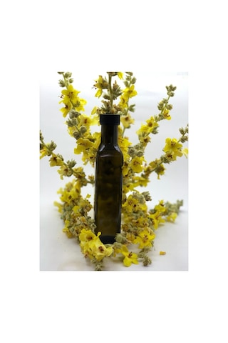 Sığır Kuyruğu Otu Hidrosolü 250 ML Sığır Kuyruğu Otu Hidrosolü 250 ML
