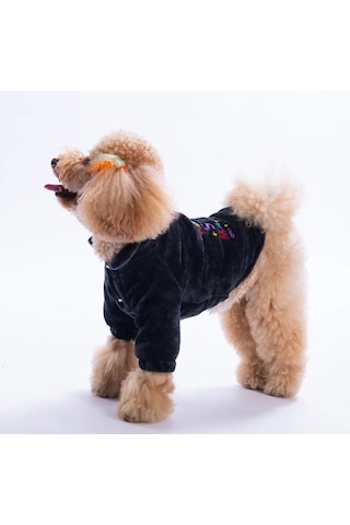 Pawstar Antrasit Jaipur Küçük Irk Köpek Peluş Ceket