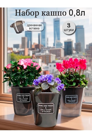 Saburg Fitil İle Otomatik Sulamalı Orkide Saksısı, 3 Adet, 0,8l 12416197