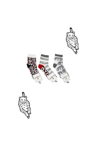 Kadın Çok Renkli Desenli Pamuklu Yarım Konç Çorap 3'lu Paket Çok Renkli