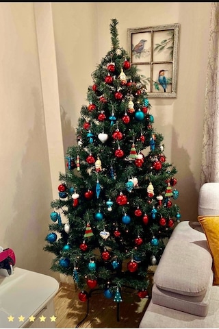 Yılbaşı Çam Ağacı 180 Cm 580 Dal Taşıma Çantası Hediyeli
