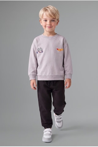 Defacto Hot Wheels Lisanslı Baskılı Bisiklet Yaka Basic Sweatshirt Ve Jogger Eşofman Altı 2li Takım Erkek Bebek I0151a526wngr91 Gri-gr91