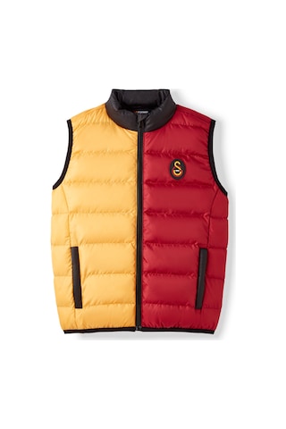 Gsstore Galatasaray Çocuk Yelek C252134 Sarı - Kırmızı