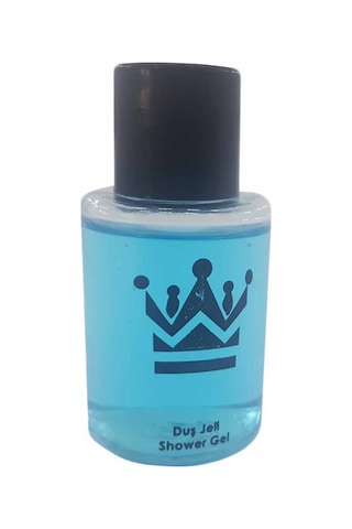 Toptan24 Otel Tipi Mini Duş Jeli 500 x 30 ML
