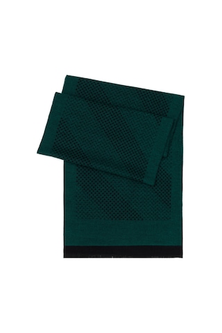 Pierre Cardin Erkek Yeşil Kaşkol 50278895-700 Yeşil