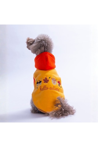 Turuncu Vermont Autumn Köpek Hoodie Köpek Sweat Köpek Kıyafeti Kedi Kıyafeti Turuncu Vermont Autumn Köpek Hoodie Köpek Sweat Köpek Kıyafeti Kedi Kıyafeti