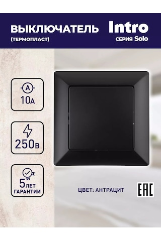 Intro Tek Tuşlu Solo Anahtar 10a-250v 123742441