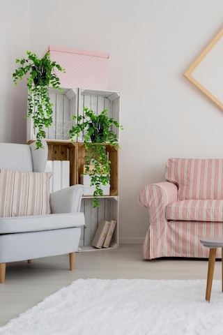 Yapay Çiçek Saksıda Sarkan Şimşir Okaliptus Yapay Sarmaşık 56cm Siyah Saksıda