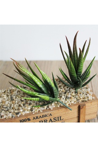 Sones Yapay Mini Aloe Plastik Bitkiler El Sanatları Çiçekçilik Peyzaj Bahçe Aile Ofis Dekorasyonu Akın Yeşil Sarı Uç
