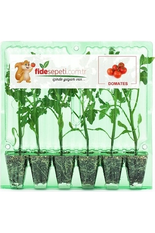 Fide Sepeti Pembe Domates Fidesi (6Lı Ambalaj) 320497200 Fide Sepeti Pembe Domates Fidesi (6Lı Ambalaj) 320497200