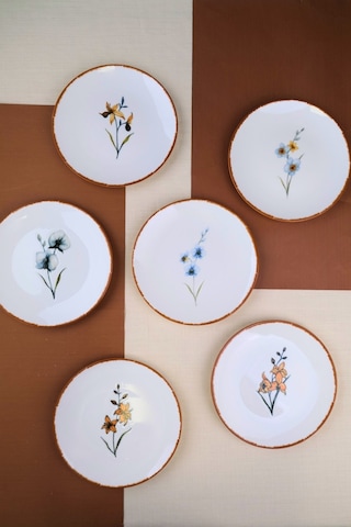 Tabak Evi Porselen Azelya Karma Pasta Tabağı Seti 19,50cm 6 Kişilik 6 Parça Çok Renkli