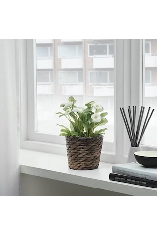Sumuhome Rattan Hasır Saksı Su Sümbülü 12 Cm