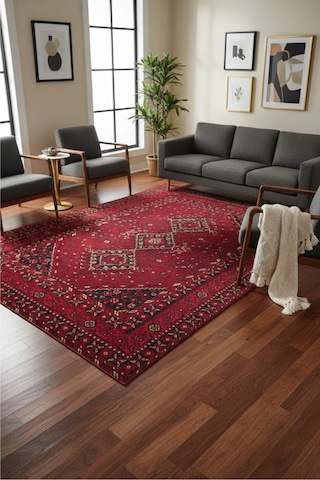 Kırmızı Etnik Desenli Halı Modern Ev Dekorasyonuna Uyumlu, Yumuşak Dokulu Premium Halı Kırmızı