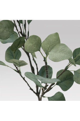 Ikea Smycka Yapay Okaliptüs Dalı 65 Cm Yeşil