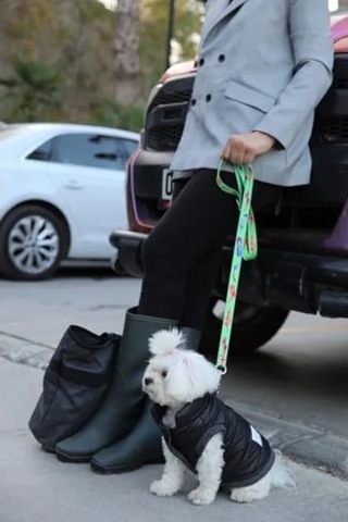 2AS Su Geçirmez Kapitone Köpek Montu - Siyah Medium Açık Gri