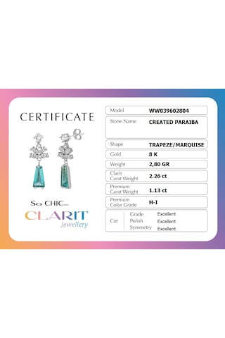 Created Paraiba Taşlı Clarit Serisi 8 Ayar Beyaz Altın Küpe Yeşil