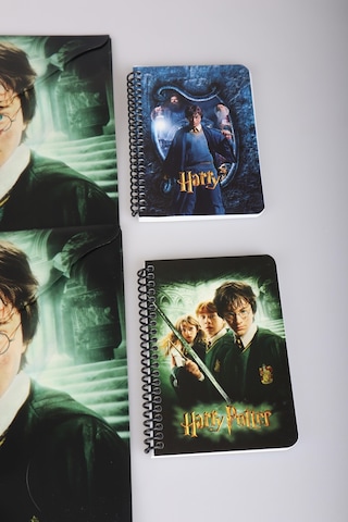 Dekomus İle Lisanslı Harry Potter 2 Adet Çıtçıt Dosya Ve 2 Adet Spırallı A6 Çizgili Not Defteri / Bloknot Okul Seti Altın