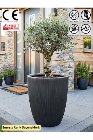Thorax Büyük Boy Çizgili Fiberglas Saksı 55x66 Cm - Sınırsız Renk Seçenekli Leke Tutmaz Bahçe Ve Ev Saksısı 55 66 100l