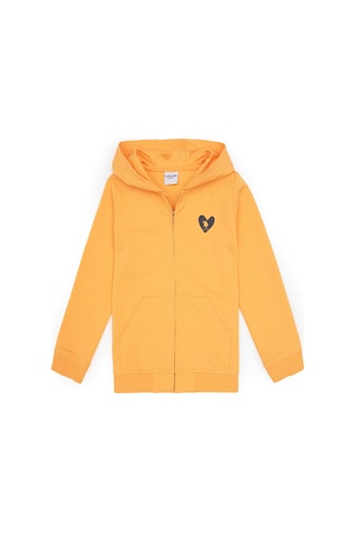 U.S. Polo Assn. Kız Çocuk Mango Kapüşonlu Fermuarlı Sweatshirt 50316873-VR244