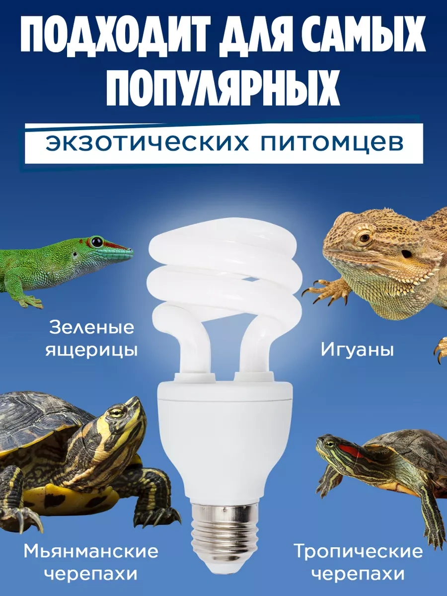 Jasmilar Sürüngenler İçin Uv Lamba Teraryum 173292826