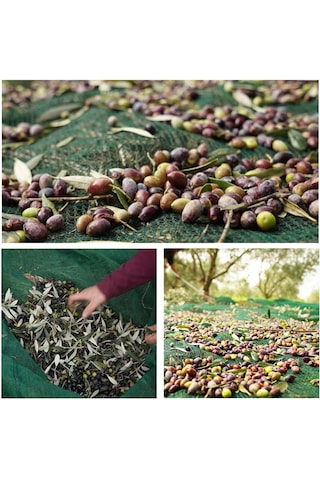 3x5 Metre Zeytin Sergisi Zeytin Toplama Filesi Fındık Fıstık Örtüsü Gölgelik Dut Meyve Sergisi Taban Örtüsü