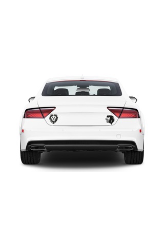 Aslan-2 Araç Sticker 21x29 Cm Araba Sticker, Oto Sticker, Araç Aksesuarı