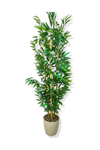 Cihan Çiçekçilik Yapay Yapraklı Bambu Ağacı 3 Bambu'lu 140 Cm Beyaz- Yeşil