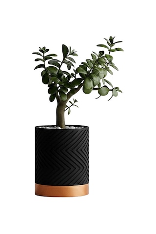 Linea Noir Modern Saksı