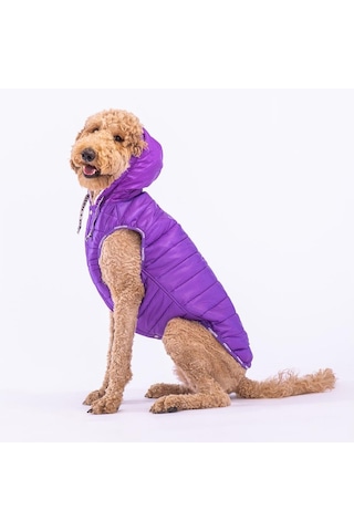 Pawstar Railway Purple Su Geçirmez Orta-büyük Irk Köpek Yelek Yağmurluk