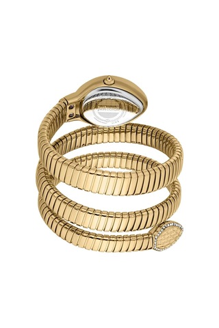 Just Cavallı Jc1l372m0025 Kadın Kol Saati Altın