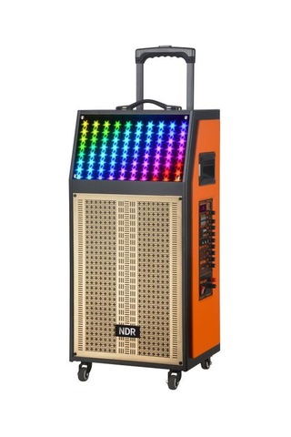 Torima NDR-112R Kablosuz Mikrofonlu Uzaktan Kumandalı RGB Bluetooth Hoparlör