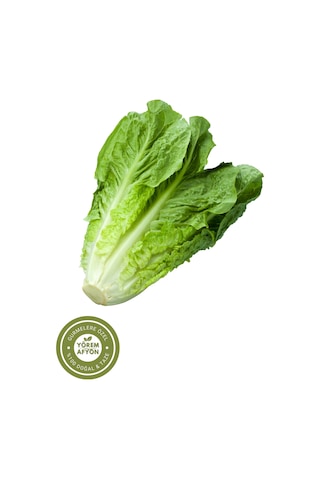 Sakarya Yöresinden Sıcağa Dayanıklı İri Yapraklı Gdo'suz Marul Tohumu Lactuca Sativa 20gr.