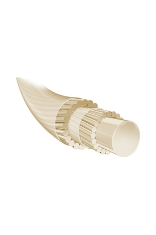 Syn Gut Force 12m Renkli