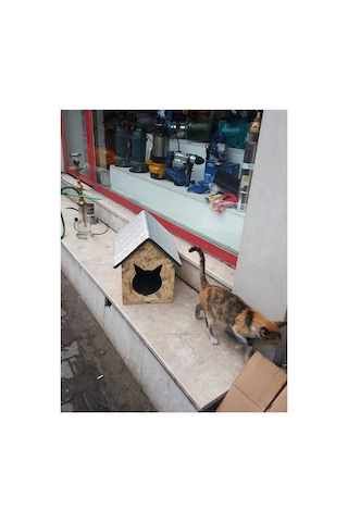 Kedi Evi Kedi Yuvası Özel Tasarım